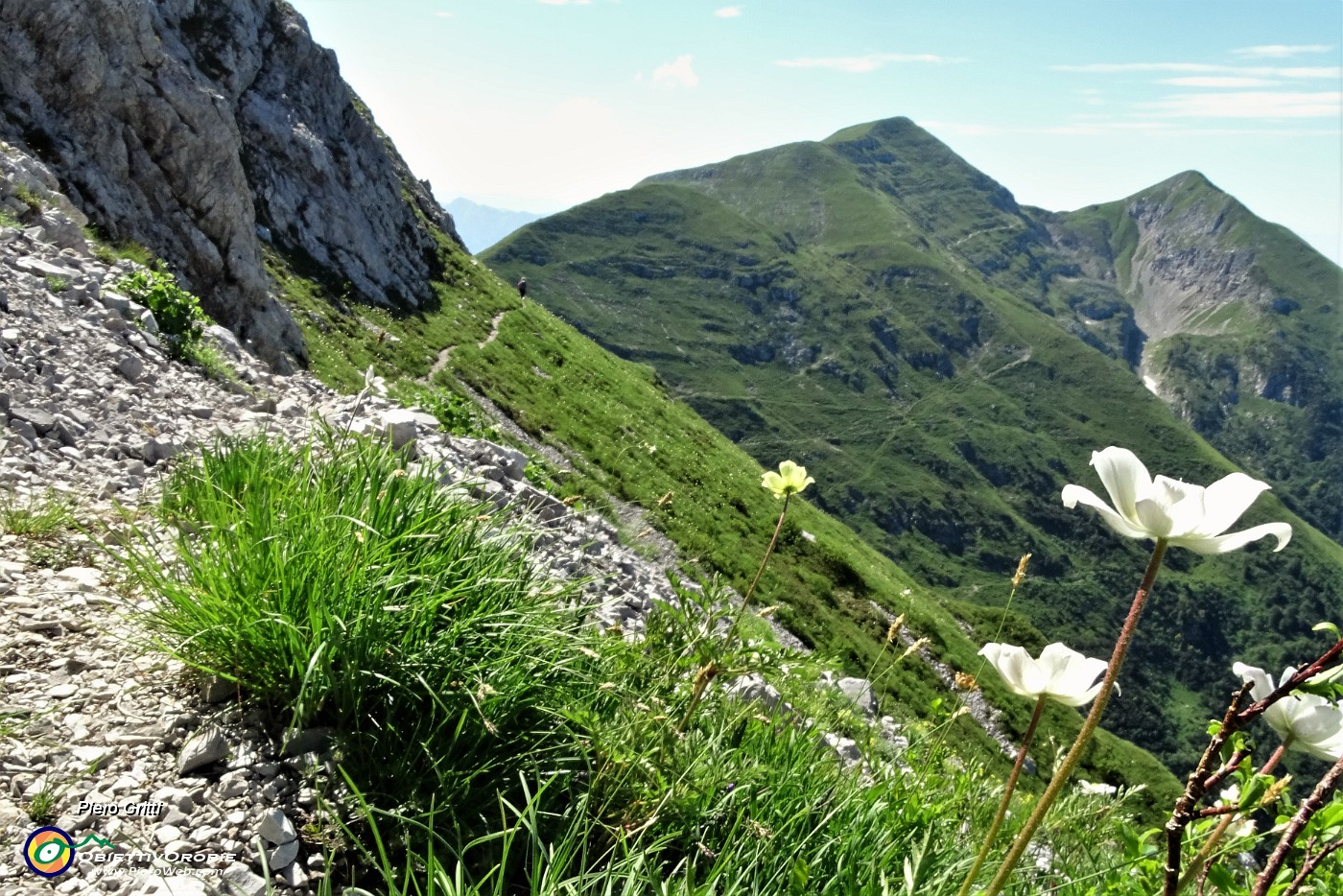 27 Dal sent. 244 con pulsatilla alpina sukfurea vista in Cima Foppazzi e Grem.JPG